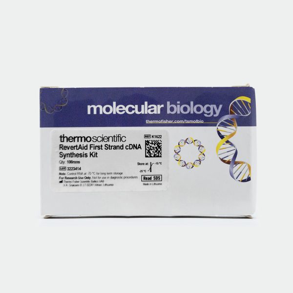 RevertAid First Strand cDNA Synthesis Kit